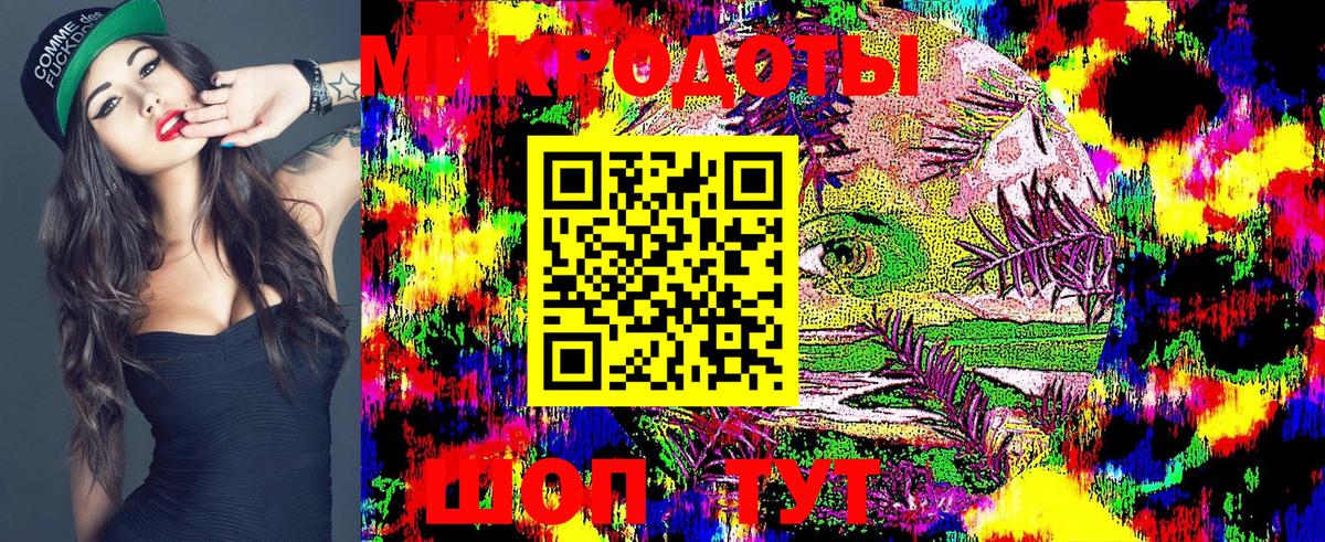 Галлюциногенные грибы Psilocybe  Вход с VPN  Костомукша 